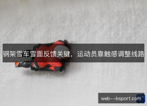 钢架雪车雪面反馈关键,运动员靠触感调整线路 钢架雪车雪面反馈关键,运动员靠触感调整线路